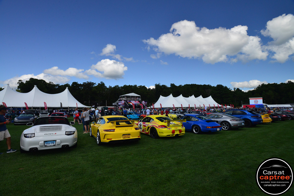 D8E_7009 copy.jpg D8E_7009 copy.jpg